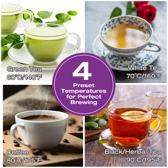 Bouilloire à température contrôlée Salton - 1,7 L/Qt (comprend un infuseur à thé en prime !)